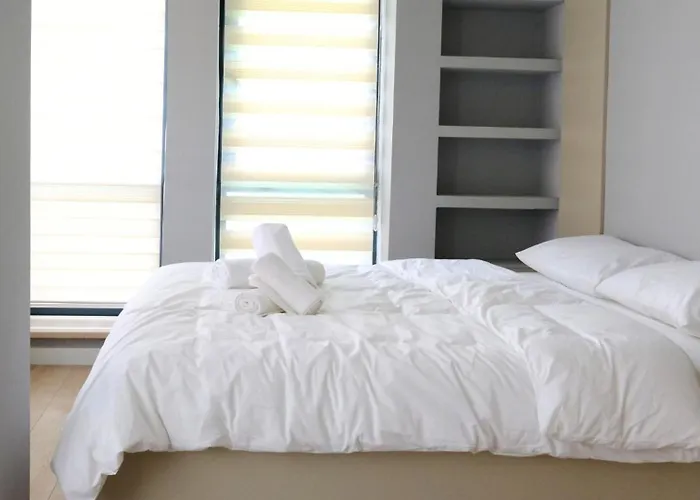 Rodax Стамбул